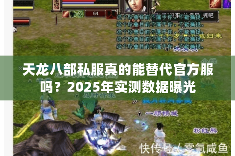 天龙八部私服真的能替代官方服吗？2025年实测数据曝光