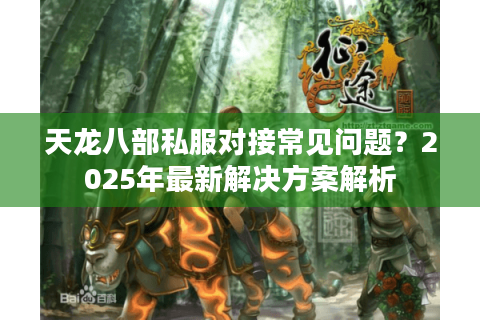 天龙八部私服对接常见问题？2025年最新解决方案解析