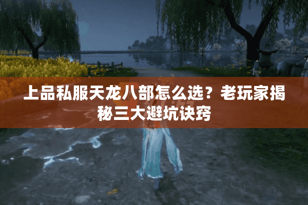 上品私服天龙八部怎么选？老玩家揭秘三大避坑诀窍