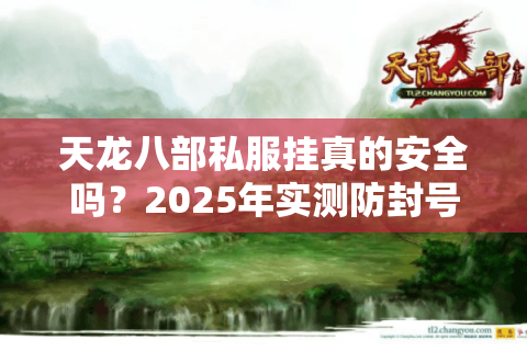 天龙八部私服挂真的安全吗？2025年实测防封号三大技巧