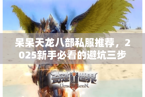呆呆天龙八部私服推荐，2025新手必看的避坑三步法