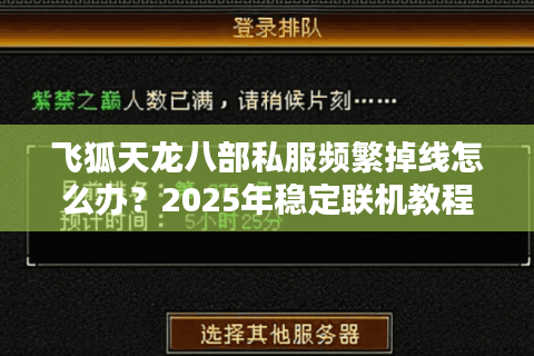 飞狐天龙八部私服频繁掉线怎么办？2025年稳定联机教程公开