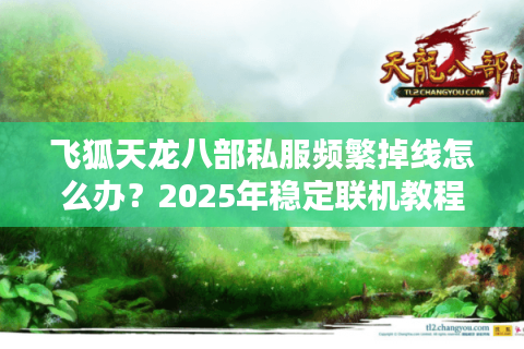 飞狐天龙八部私服频繁掉线怎么办？2025年稳定联机教程公开