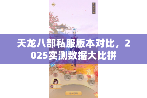天龙八部私服版本对比，2025实测数据大比拼