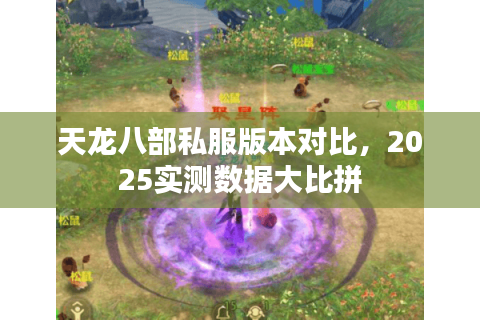天龙八部私服版本对比，2025实测数据大比拼