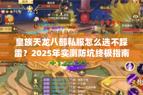 皇族天龙八部私服怎么选不踩雷？2025年实测防坑终极指南
