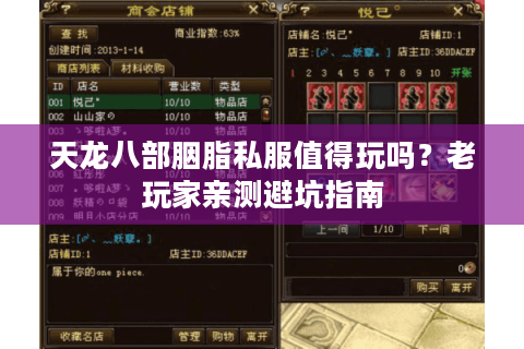 天龙八部胭脂私服值得玩吗？老玩家亲测避坑指南