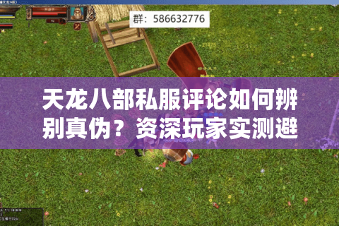 天龙八部私服评论如何辨别真伪？资深玩家实测避坑指南