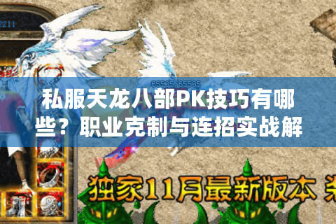 私服天龙八部PK技巧有哪些?职业克制与连招实战解析 私服天龙八部PK技巧有哪些?职业克制与连招实战解析