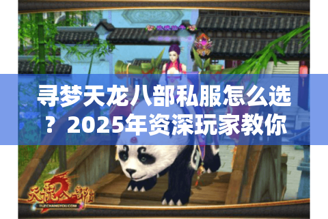 寻梦天龙八部私服怎么选？2025年资深玩家教你三步避坑