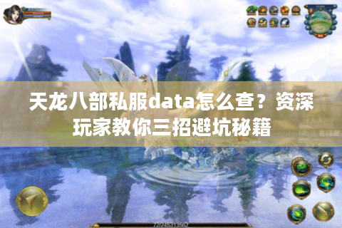 天龙八部私服data怎么查?资深玩家教你三招避坑秘籍 天龙八部私服data怎么查?资深玩家教你三招避坑秘籍