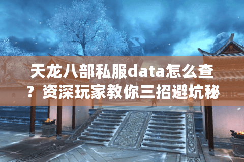 天龙八部私服data怎么查？资深玩家教你三招避坑秘籍