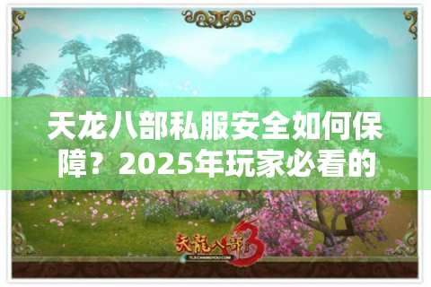 天龙八部私服安全如何保障？2025年玩家必看的三重防护指南