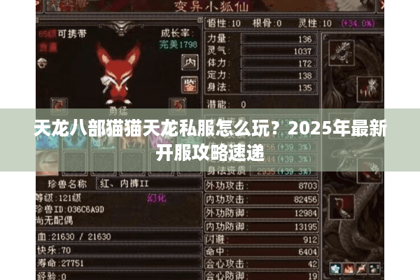 天龙八部猫猫天龙私服怎么玩？2025年最新开服攻略速递