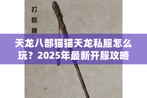 天龙八部猫猫天龙私服怎么玩？2025年最新开服攻略速递
