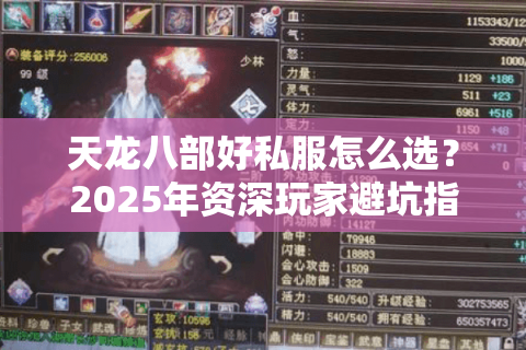 天龙八部好私服怎么选？2025年资深玩家避坑指南