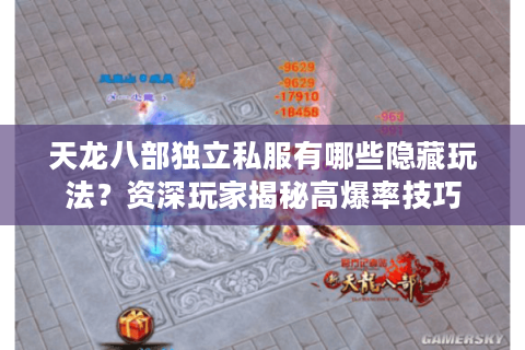 天龙八部独立私服有哪些隐藏玩法？资深玩家揭秘高爆率技巧