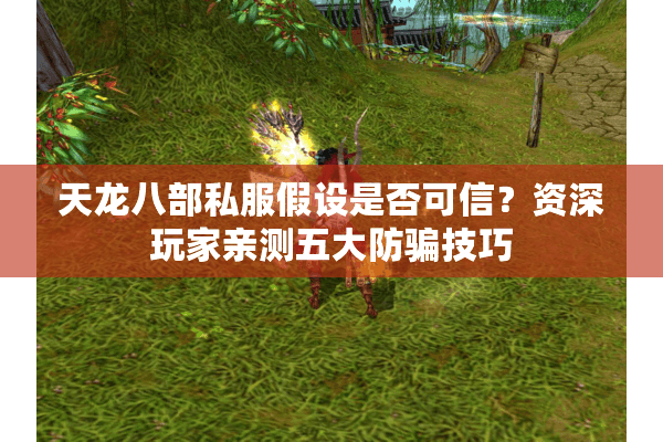 天龙八部私服假设是否可信？资深玩家亲测五大防骗技巧