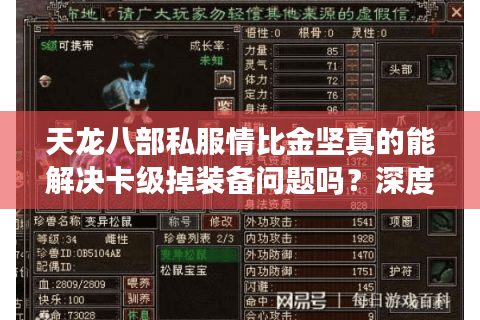 天龙八部私服情比金坚真的能解决卡级掉装备问题吗？深度攻略揭秘