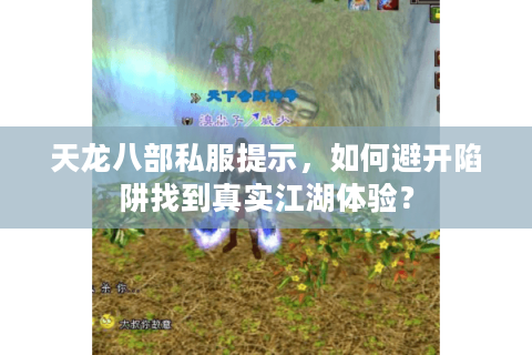 天龙八部私服提示，如何避开陷阱找到真实江湖体验？