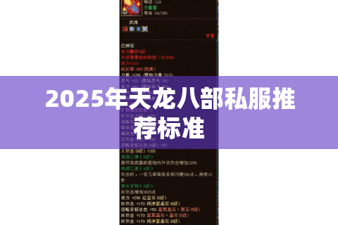 2025年天龙八部私服推荐标准