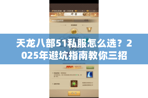 天龙八部51私服怎么选？2025年避坑指南教你三招