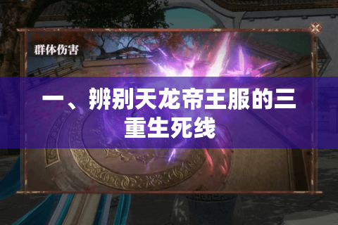 一、辨别天龙帝王服的三重生死线
