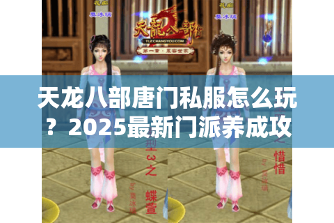 天龙八部唐门私服怎么玩？2025最新门派养成攻略