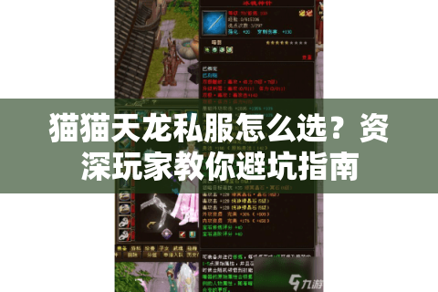 猫猫天龙私服怎么选？资深玩家教你避坑指南