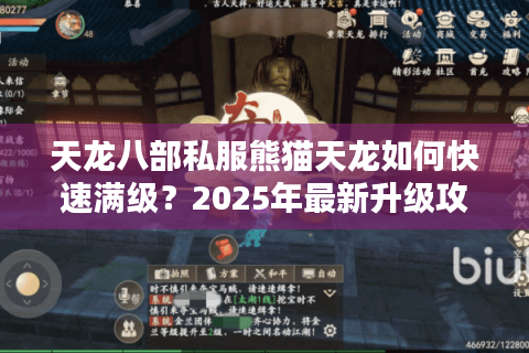 天龙八部私服熊猫天龙如何快速满级？2025年最新升级攻略大揭秘