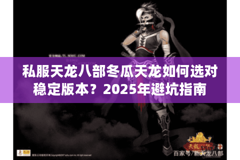 私服天龙八部冬瓜天龙如何选对稳定版本？2025年避坑指南