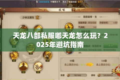 天龙八部私服嘟天龙怎么玩？2025年避坑指南