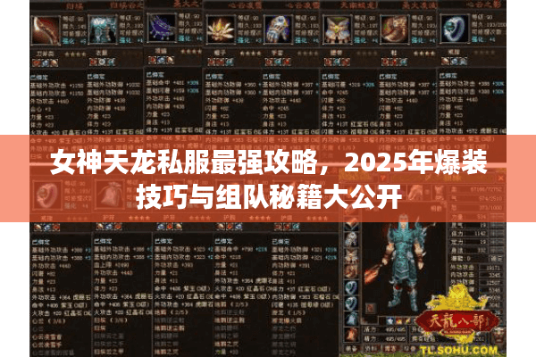 女神天龙私服最强攻略，2025年爆装技巧与组队秘籍大公开