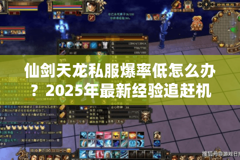 仙剑天龙私服爆率低怎么办？2025年最新经验追赶机制解析