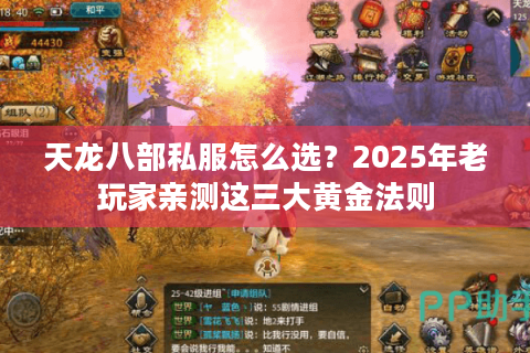 天龙八部私服怎么选？2025年老玩家亲测这三大黄金法则