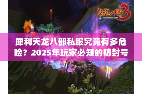犀利天龙八部私服究竟有多危险？2025年玩家必知的防封号指南