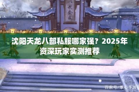 沈阳天龙八部私服哪家强？2025年资深玩家实测推荐