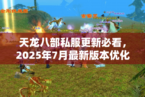 天龙八部私服更新必看，2025年7月最新版本优化内容速递
