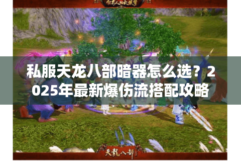私服天龙八部暗器怎么选？2025年最新爆伤流搭配攻略