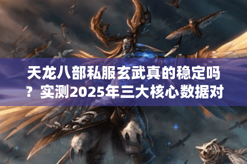 天龙八部私服玄武真的稳定吗？实测2025年三大核心数据对比