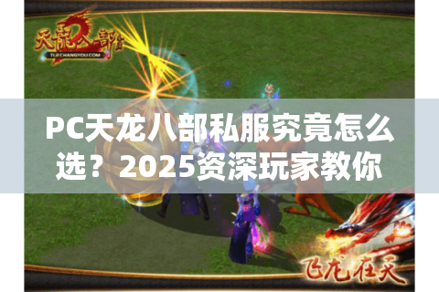 PC天龙八部私服究竟怎么选？2025资深玩家教你避坑指南