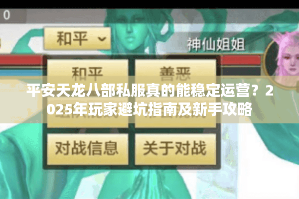 平安天龙八部私服真的能稳定运营？2025年玩家避坑指南及新手攻略
