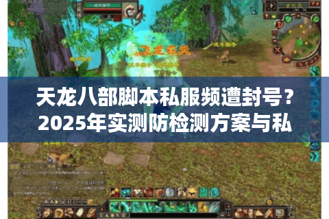 天龙八部脚本私服频遭封号？2025年实测防检测方案与私服推荐