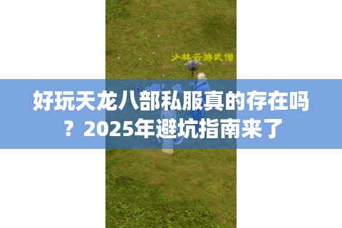 好玩天龙八部私服真的存在吗？2025年避坑指南来了