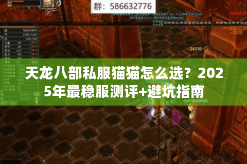 天龙八部私服猫猫怎么选?2025年最稳服测评+避坑指南 天龙八部私服猫猫怎么选?2025年最稳服测评+避坑指南