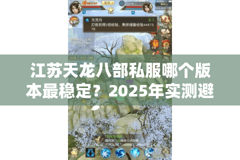 江苏天龙八部私服哪个版本最稳定？2025年实测避坑指南