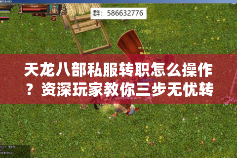 天龙八部私服转职怎么操作？资深玩家教你三步无忧转职