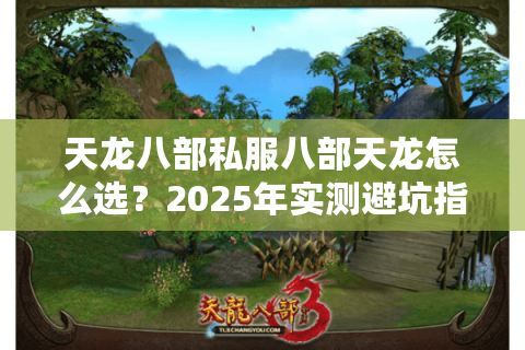 天龙八部私服八部天龙怎么选？2025年实测避坑指南