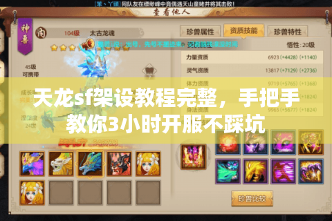 天龙sf架设教程完整，手把手教你3小时开服不踩坑