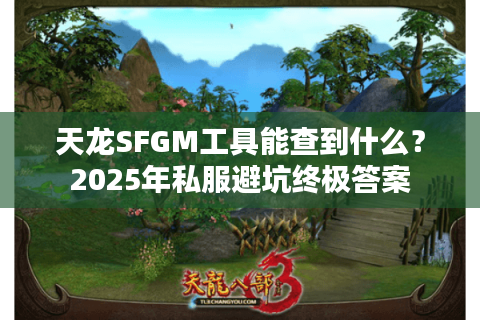 天龙SFGM工具能查到什么？2025年私服避坑终极答案